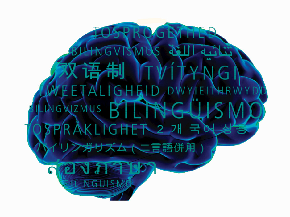 Study reveals Chinese multilingual better prepared for times of uncertainty